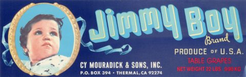 Jimmy Boy